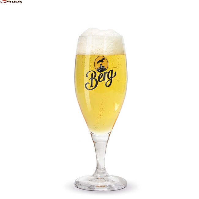 Berg Pilsglas (0,3 ltr)